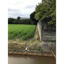 北九州市八幡西区 楠橋下方1丁目 (楠橋駅 ) 住宅用地画像3