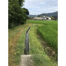 北九州市八幡西区 楠橋下方1丁目 (楠橋駅 ) 住宅用地画像5