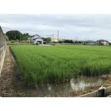 北九州市八幡西区 楠橋下方1丁目 (楠橋駅 ) 住宅用地画像6